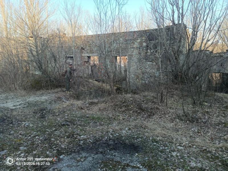 &laquo;У меня есть план по выживанию, я взяла хлеб и воду&raquo;. В Новороссийске ищут Лизу, которая ушла из дома 10 марта