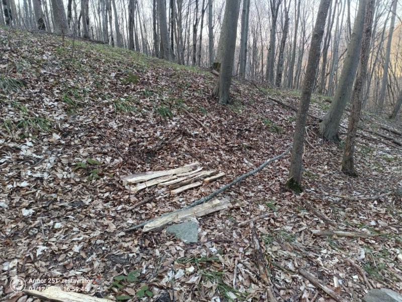 &laquo;У меня есть план по выживанию, я взяла хлеб и воду&raquo;. В Новороссийске ищут Лизу, которая ушла из дома 10 марта