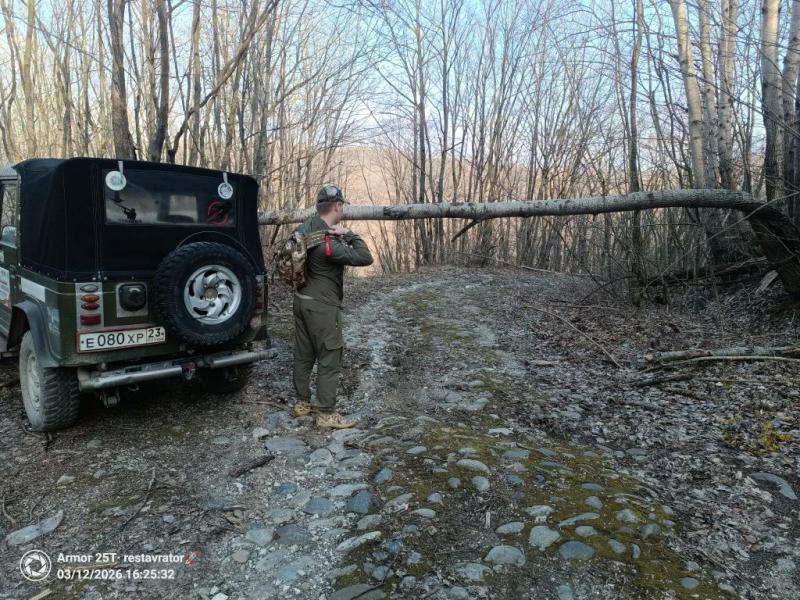 &laquo;У меня есть план по выживанию, я взяла хлеб и воду&raquo;. В Новороссийске ищут Лизу, которая ушла из дома 10 марта