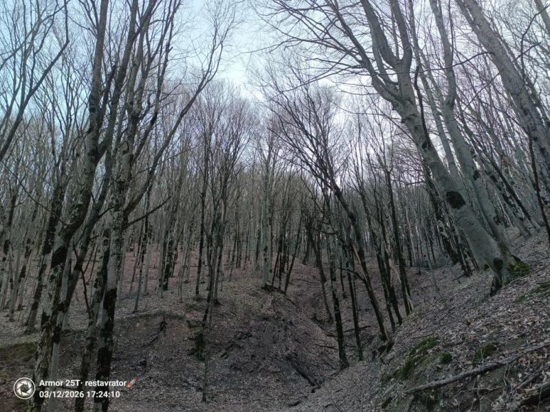 &laquo;У меня есть план по выживанию, я взяла хлеб и воду&raquo;. В Новороссийске ищут Лизу, которая ушла из дома 10 марта