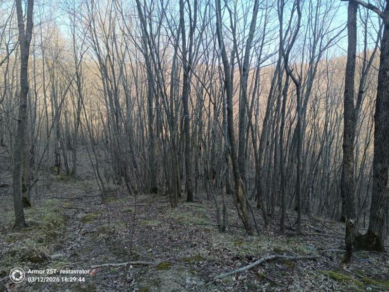 &laquo;У меня есть план по выживанию, я взяла хлеб и воду&raquo;. В Новороссийске ищут Лизу, которая ушла из дома 10 марта