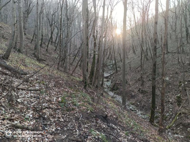 &laquo;У меня есть план по выживанию, я взяла хлеб и воду&raquo;. В Новороссийске ищут Лизу, которая ушла из дома 10 марта