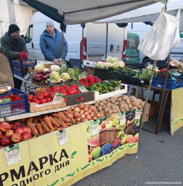 Участников ярмарок в Новороссийске научили действовать во время атак БПЛА