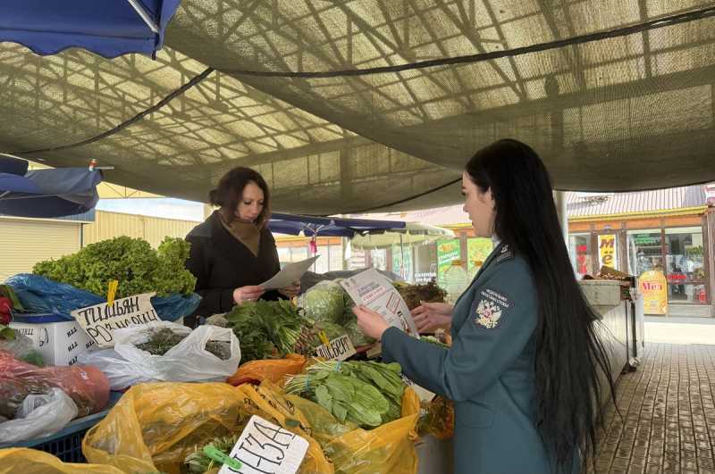 В Краснодаре проходят акции по информированию о необходимости декларирования доходов