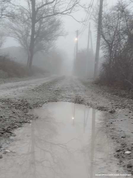 В Новороссийск пришел туман за &hellip; абрикосами