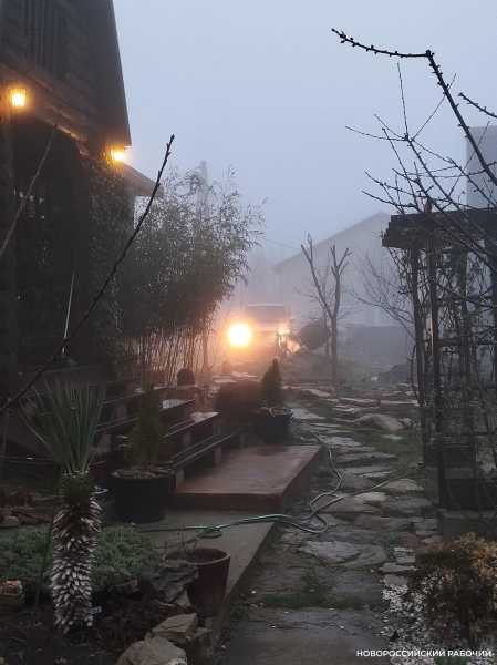 В Новороссийск пришел туман за &hellip; абрикосами