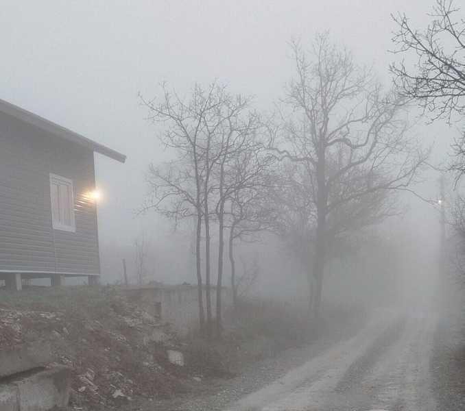 В Новороссийск пришел туман за &hellip; абрикосами