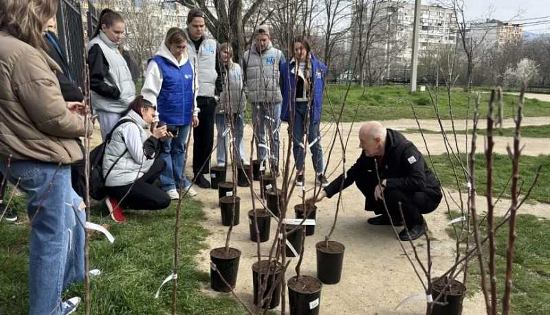В Новороссийске 40 саженцев яблонь высадили на территории Пионерской рощи в ходе экологической акции