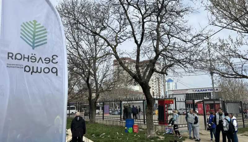 В Новороссийске 40 саженцев яблонь высадили на территории Пионерской рощи в ходе экологической акции