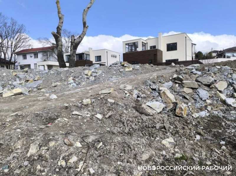 В Новороссийске чиновники просят помощи у жителей &ndash; нужны фото леса 10-летней давности