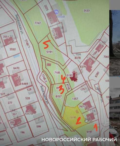 В Новороссийске чиновники просят помощи у жителей &ndash; нужны фото леса 10-летней давности