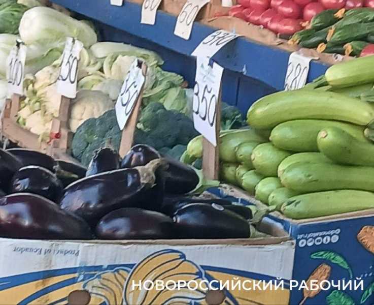 В Новороссийске из-за войны  могут пропасть перец, кабачки и баклажаны