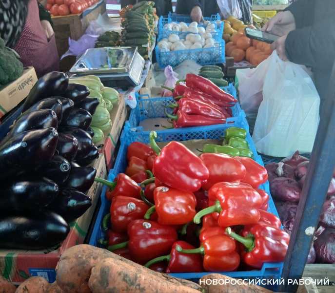 В Новороссийске из-за войны  могут пропасть перец, кабачки и баклажаны