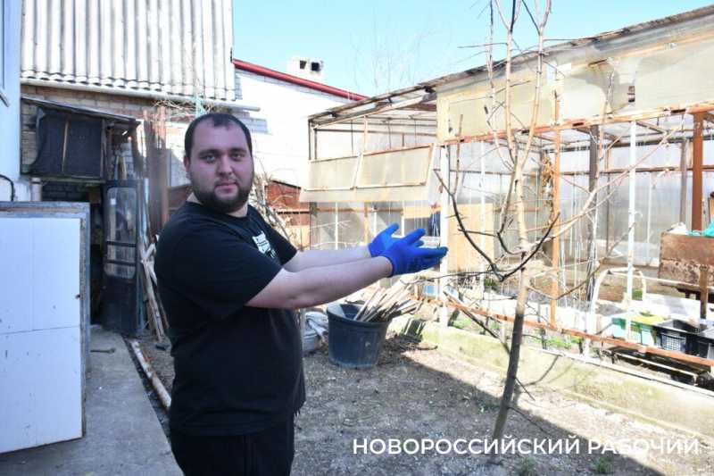 В Новороссийске от осколков БПЛА женщину спасла тюлевая занавеска