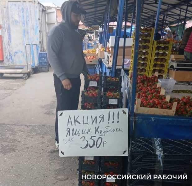 В Новороссийске подешевела импортная клубника