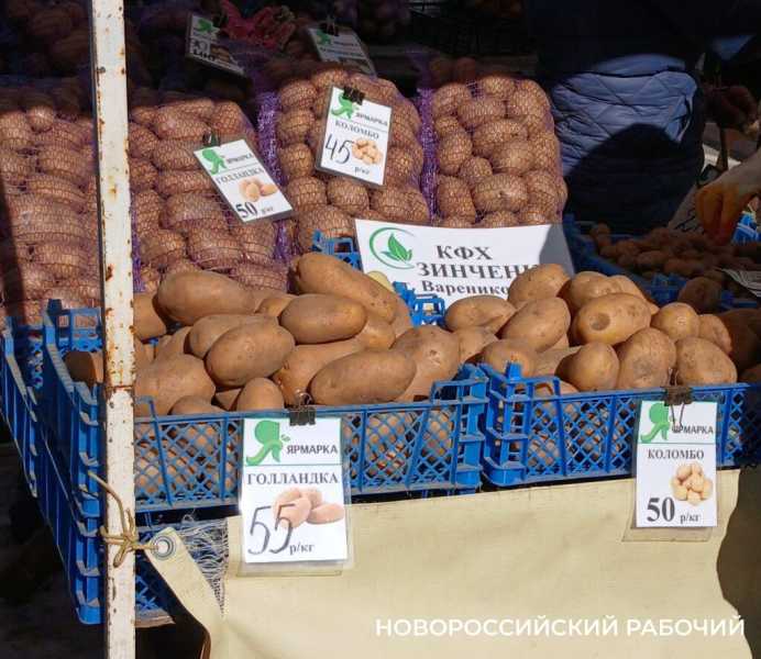 В Новороссийске продают тепличную картошку
