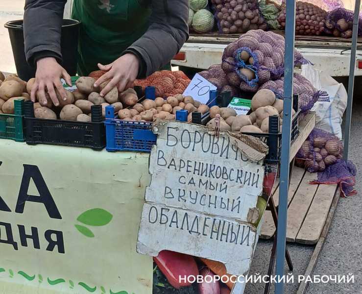 В Новороссийске продают тепличную картошку