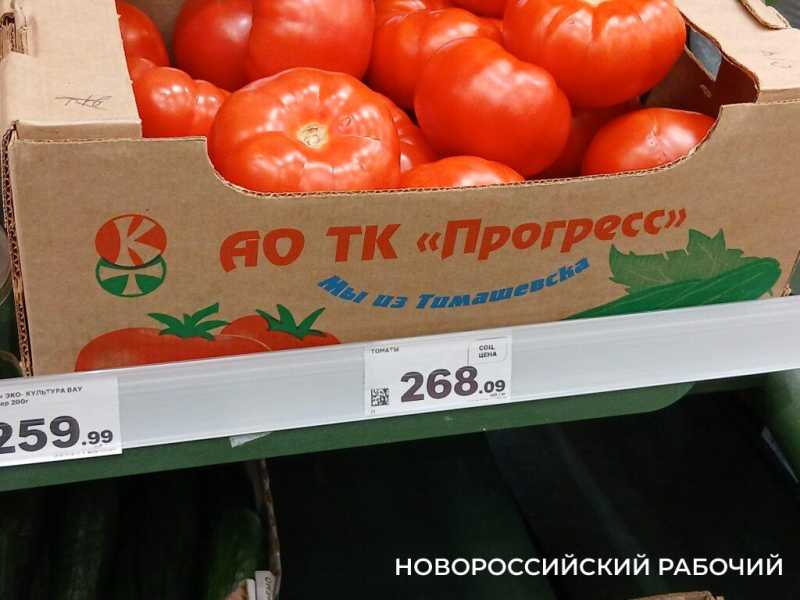 В Новороссийске тепличные огурцы перестали быть &laquo;золотыми&raquo;