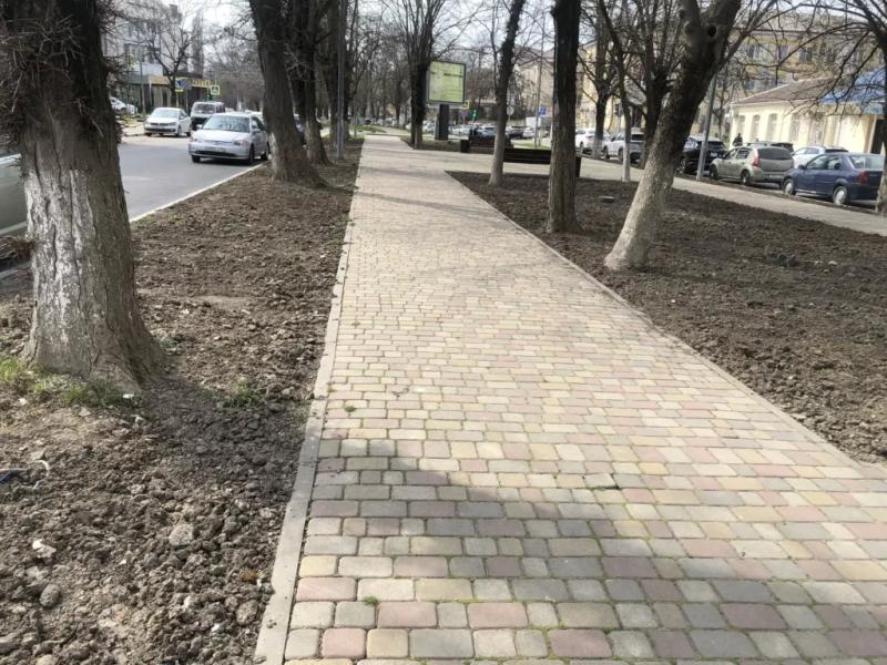 В Новороссийске выкорчевали мертвые кустарники, которые &laquo;украшали&raquo; сквер Брежнева больше года