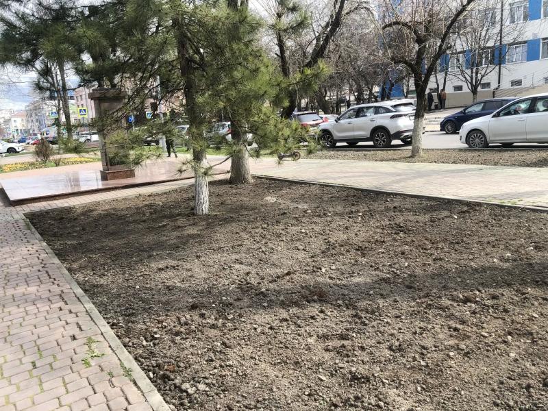 В Новороссийске выкорчевали мертвые кустарники, которые &laquo;украшали&raquo; сквер Брежнева больше года