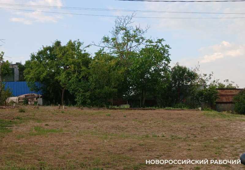 В пригороде Новороссийска выставили на торги земельные участки бывшего депутата