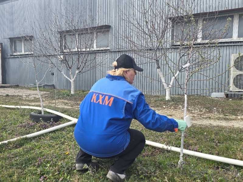 В саду, разбитом в промзоне, сотрудники &laquo;КХМ-Новороссийск&raquo; провели субботник