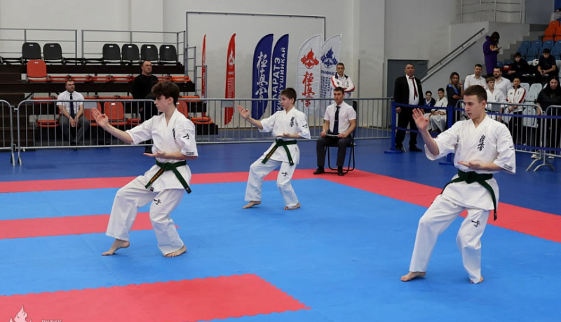 Восемь медалей и специальный приз завоевали юные новороссийские спортсмены на Международных соревнованиях по киокусинкай &laquo;Открытая Россия&raquo;