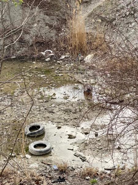 Вывоз ила, которым завалили ООПТ в Новороссийске, оценили в 80 миллионов рублей&nbsp;&nbsp;&nbsp;&nbsp;&nbsp;