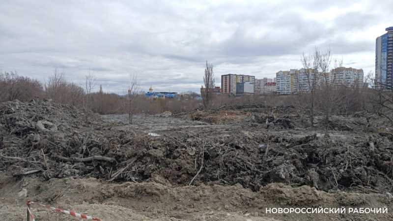 Вывоз ила, которым завалили ООПТ в Новороссийске, оценили в 80 миллионов рублей&nbsp;&nbsp;&nbsp;&nbsp;&nbsp;