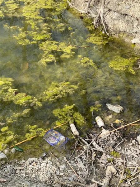 Вывоз ила, которым завалили ООПТ в Новороссийске, оценили в 80 миллионов рублей&nbsp;&nbsp;&nbsp;&nbsp;&nbsp;