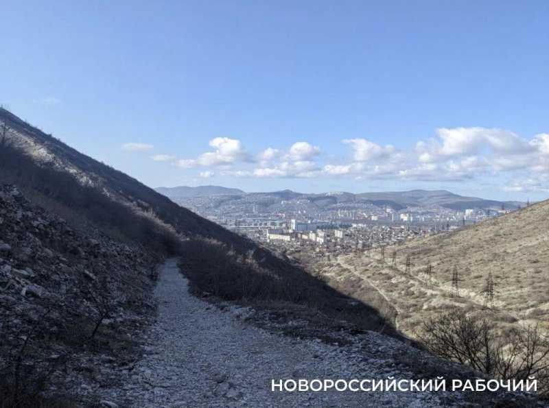 Завтра в Новороссийске скажут последнее «прости и прощай» 16-летней Лизе Карповой