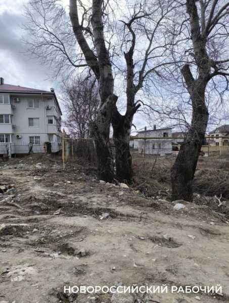 Жители Мысхако подняли вопрос законности перехода земли в частные руки
