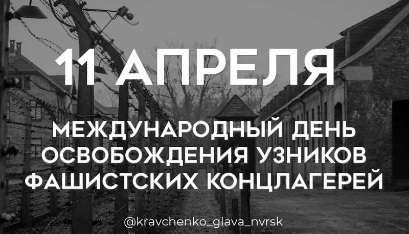 Андрей Кравченко: В Новороссийске сейчас проживает 1218 узников фашистских концлагерей. Их детство и юность отняла война