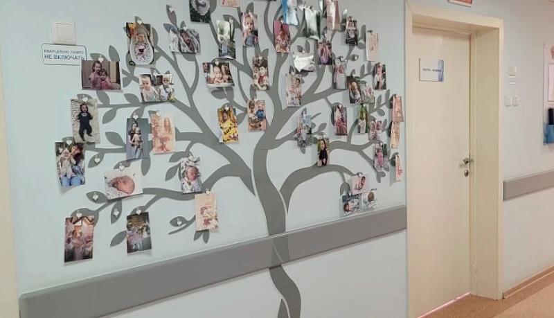 &laquo;Дерево жизни&raquo; в НКЦ ФМБА России собирает истории счастливого материнства