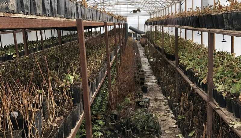 Доля малого и среднего бизнеса в ВРП Кубани достигла 27,7 процента