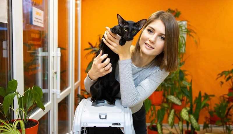 Доля малого и среднего бизнеса в ВРП Кубани достигла 27,7 процента