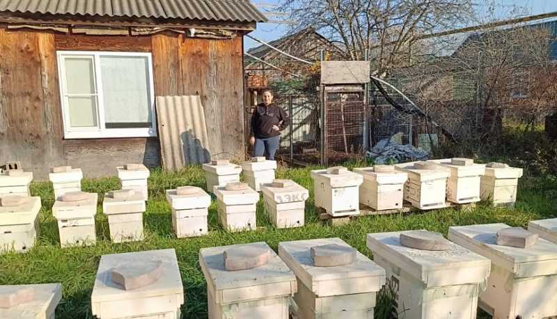 Доля малого и среднего бизнеса в ВРП Кубани достигла 27,7 процента