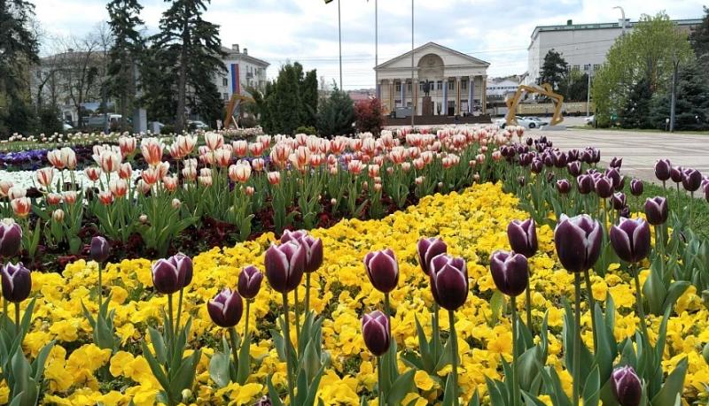 Информация о качестве атмосферного воздуха в городе  Новороссийске за период наблюдений 17 &ndash; 18 апреля