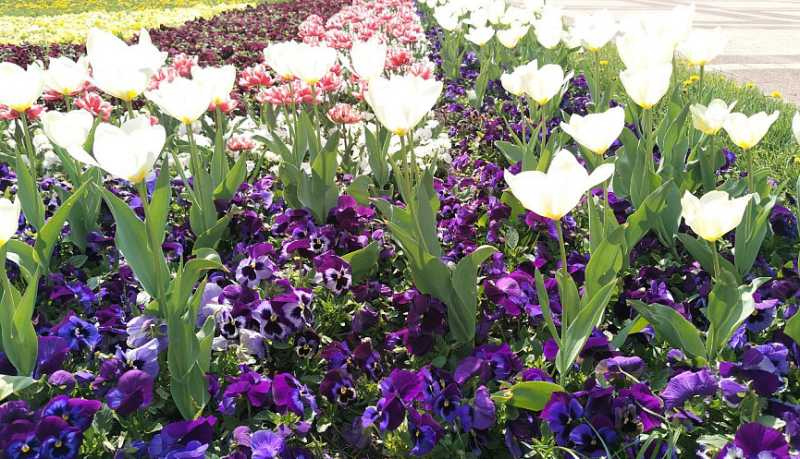 Информация о качестве атмосферного воздуха в Новороссийске за период наблюдений 08-09 апреля