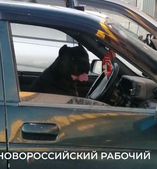 Как поступать новороссийцам, которым навязывают кредиты и лишают скидок при покупке автомобиля