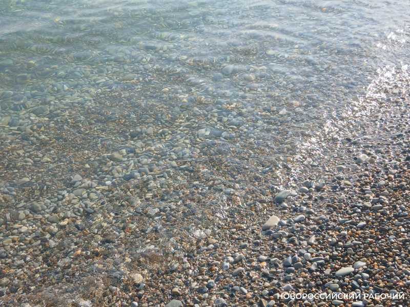 Может ли доплыть до Новороссийска нефтяное пятно из Туапсе