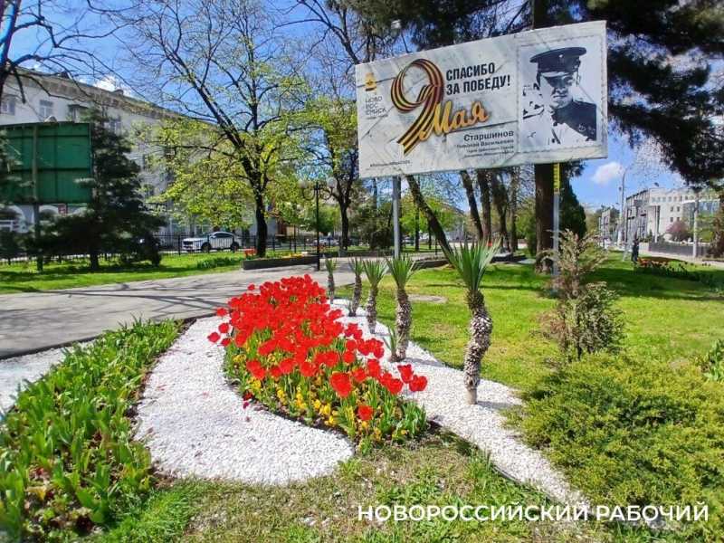 На Парковой аллее Новороссийска праздник тюльпанов!