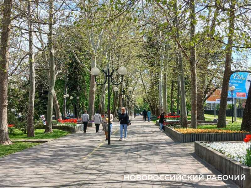 На Парковой аллее Новороссийска праздник тюльпанов!