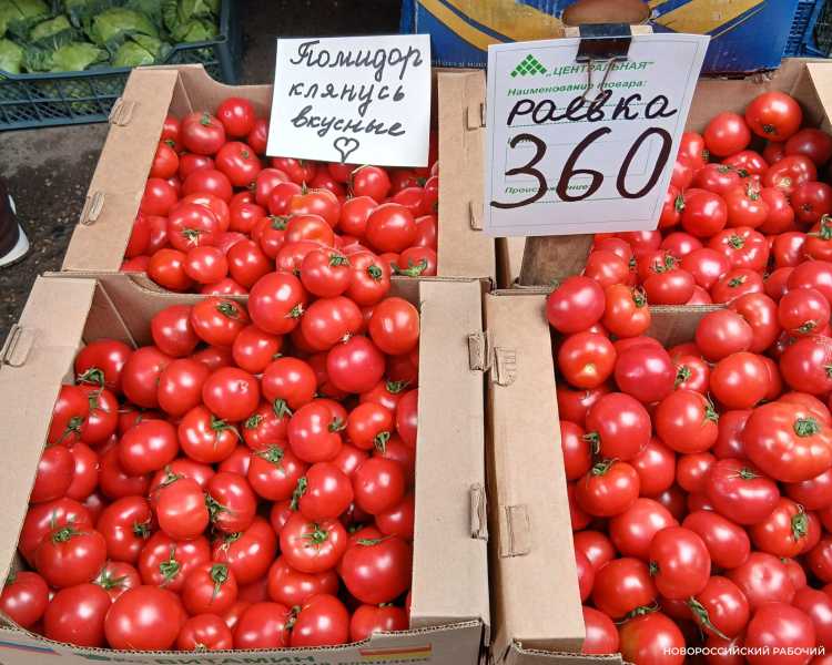 На рынке Новороссийска появились помидоры от местного бренда