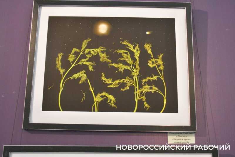 На выставке в Новороссийске показали фото, сделанные &laquo;консервной банкой&raquo;