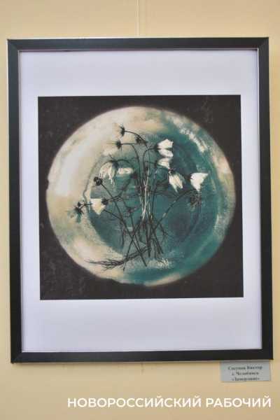 На выставке в Новороссийске показали фото, сделанные &laquo;консервной банкой&raquo;