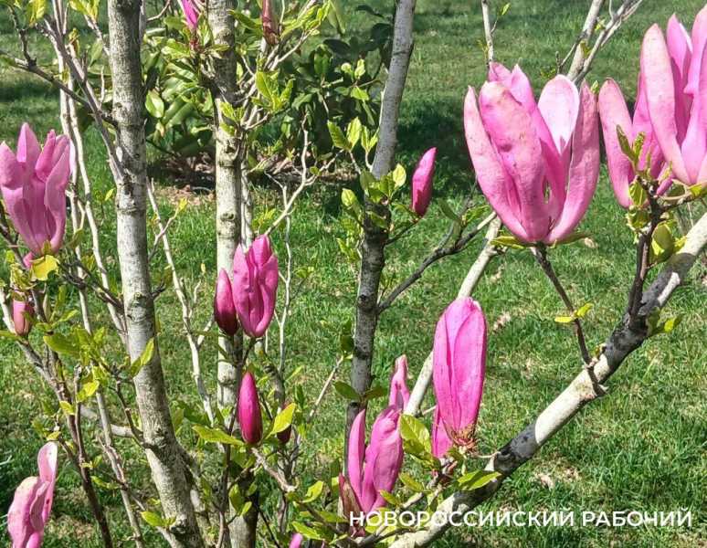 Новороссийцы едут в Кабардинку за тишиной и креативом