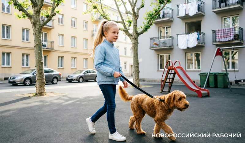 Новороссийские дворы становятся не менее опасными, чем трасса