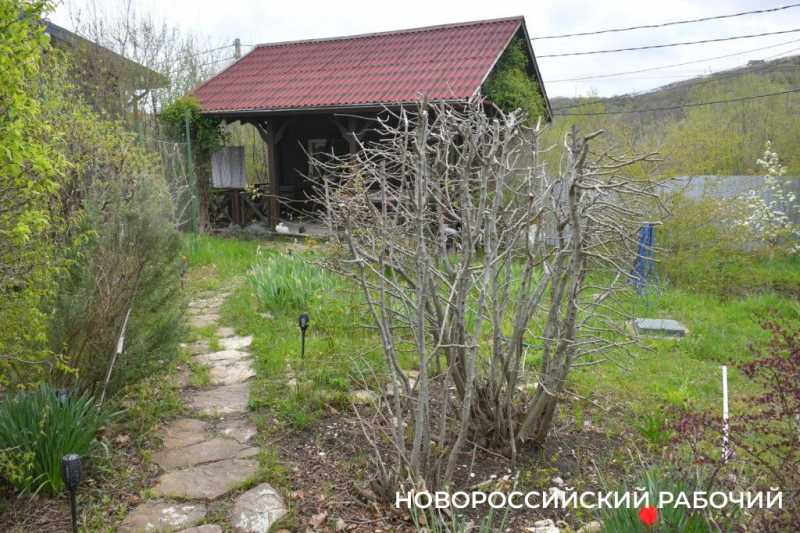 Новороссийские садоводы не видят препятствий на пути к грядкам