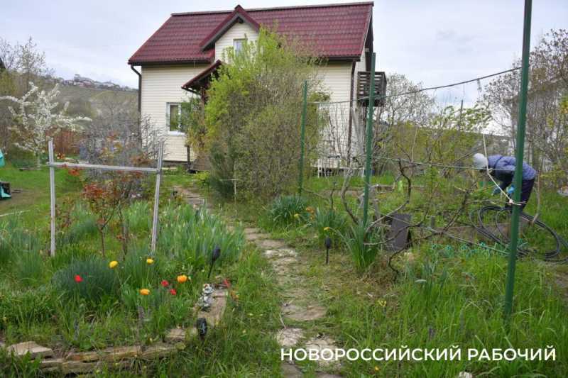 Новороссийские садоводы не видят препятствий на пути к грядкам